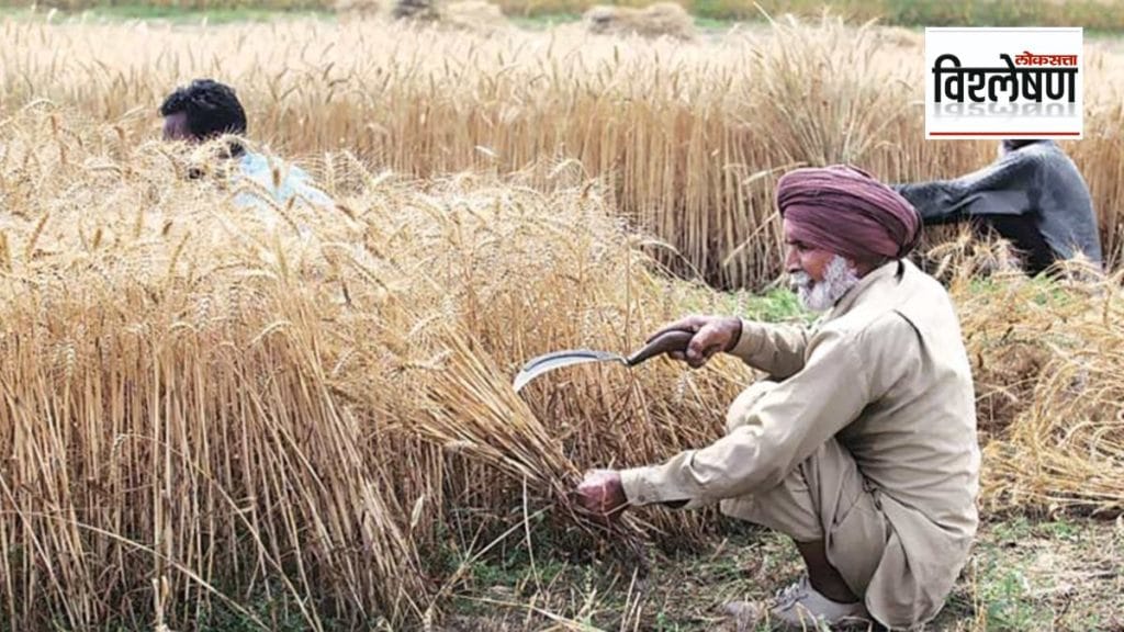 wheat blast disease in india