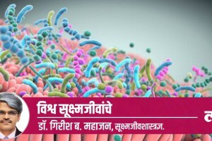 Health, stomach, microorganisms, biological medicine