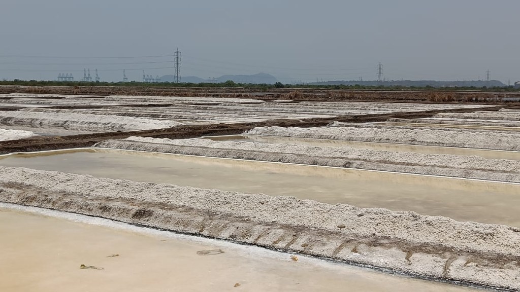 Effects of changing environment salt production