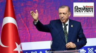 Recep Tayyip Erdogan, Turkish general election, presidential election