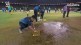 Rain started suddenly while Chennai was chasing runs but when the rain stopped a sponge was used to dry it.