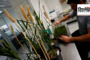 Genetically Modified food