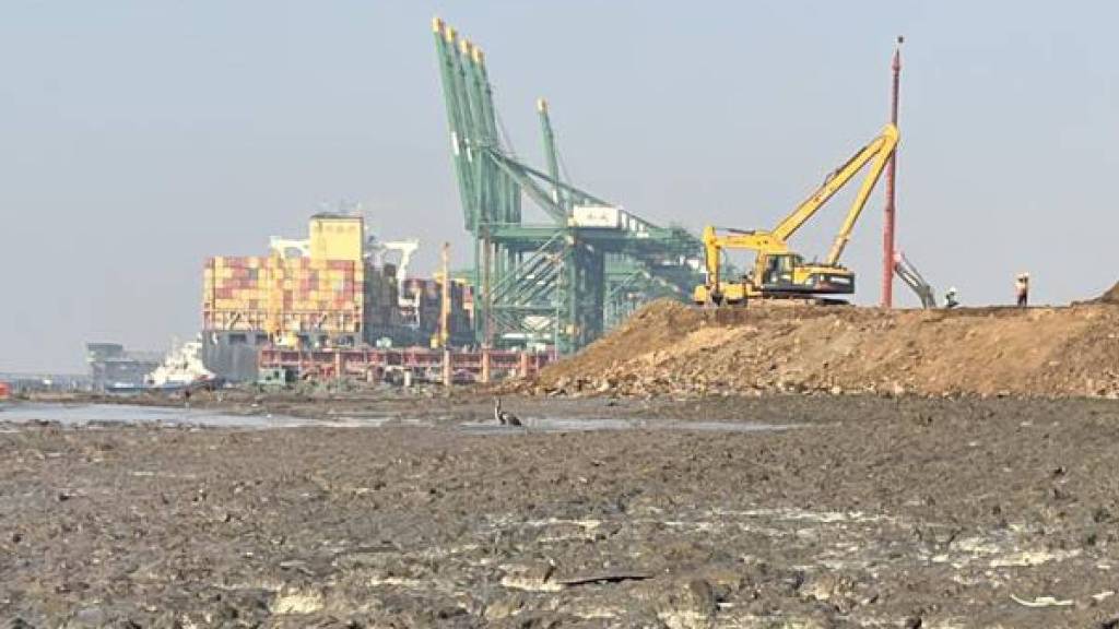 Biodiversity, Navi Mumbai, JNPT, Uran, Environment
