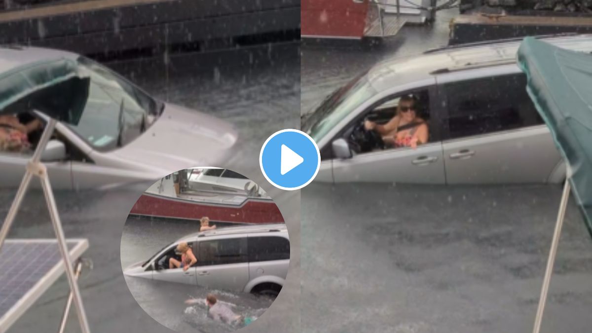 Viral GPS Funny video