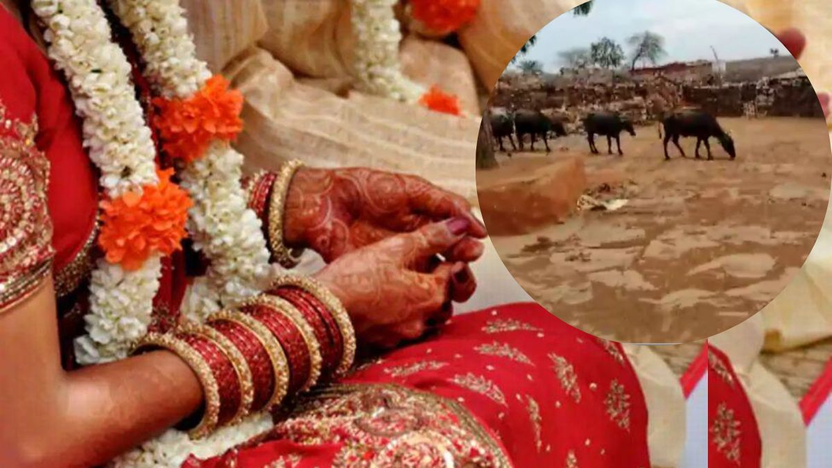 Gwalior committed fraud news