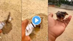Man Saved Sparrow Life video
