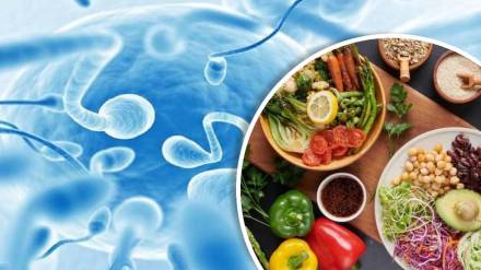 male fertility and food
