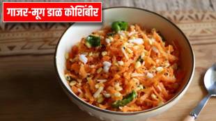 carrot moong dal salad