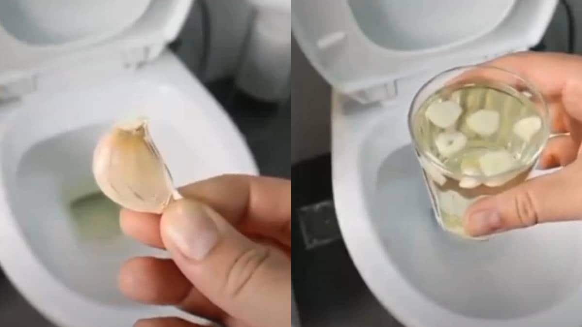 Garlic for Clean Toilet रात्रभर कमोडमध्ये ठेवा लसणाची एक पाकळी, सकाळी