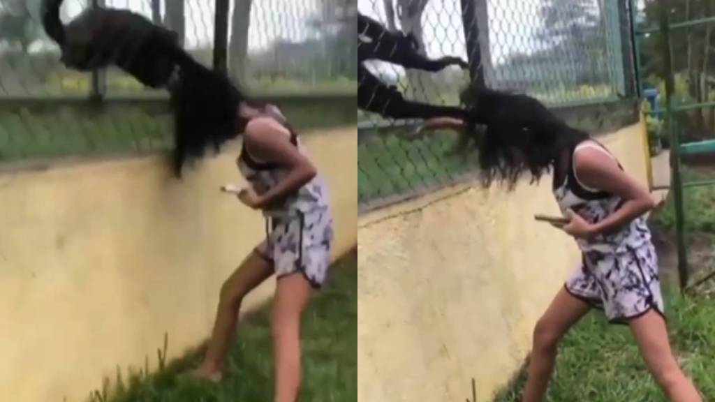 monkey attack on girl