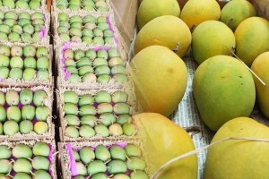 25 crore mango order in zepto online grocerry delivery app