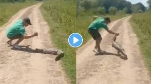 crocodile attack video viral