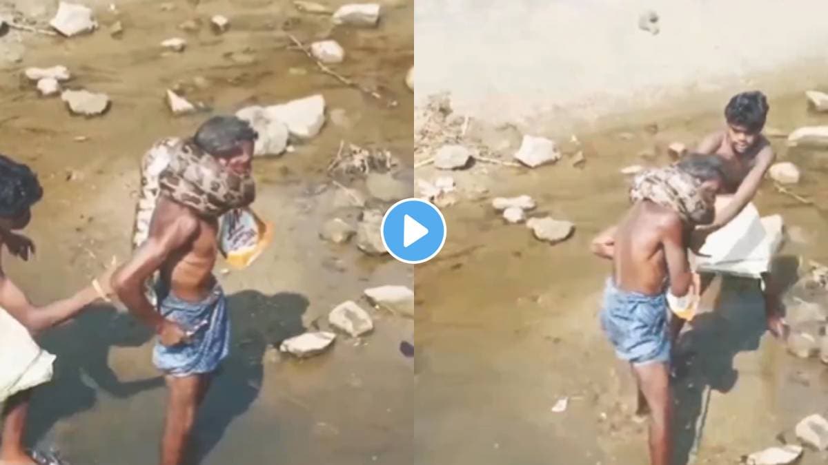 Giant python encircles old mans neck video viral