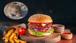 Mouse dropping in McDonalds burger
