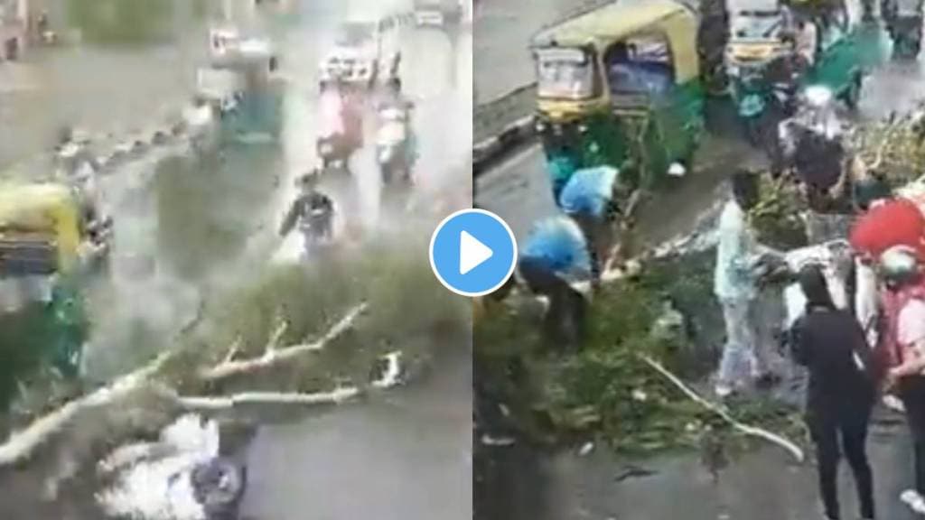 3 Boy injured as tree branch fell on scooty accident video