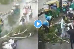 3 Boy injured as tree branch fell on scooty accident video