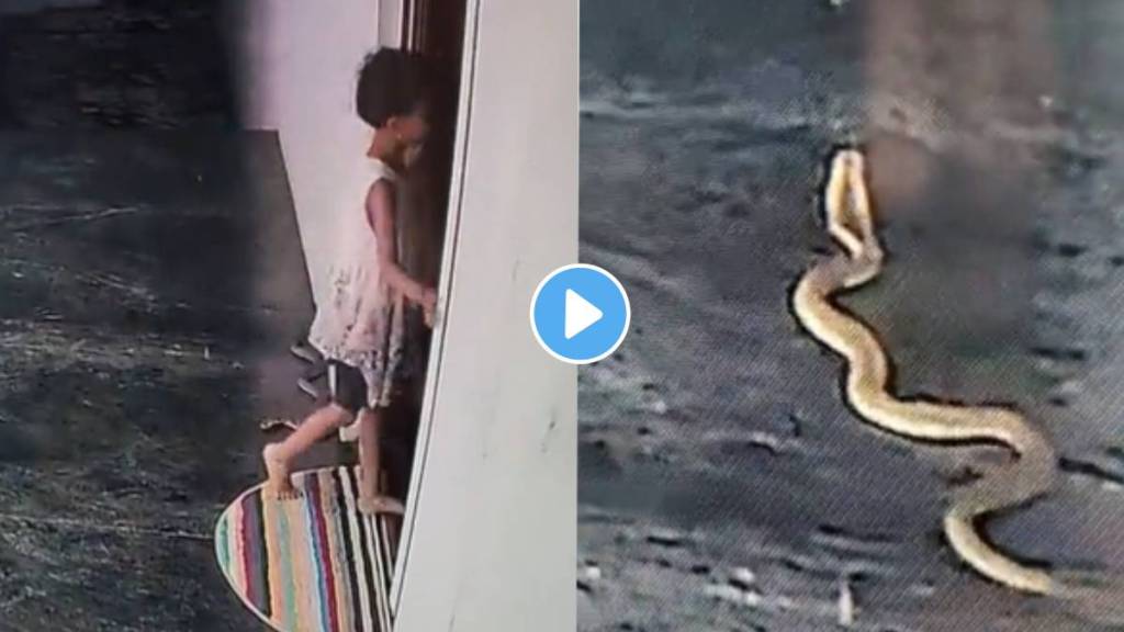 viral video of snake girl come near it but save life by difference of some second shocking wild life video