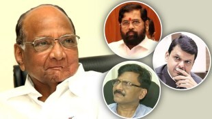 sharad pawar targets devendra fadnavis sanjay raut