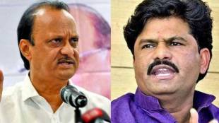 ajit pawar gopichand padalkar
