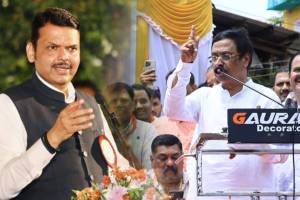 devendra fadnavis vinayak raut