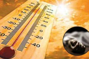 five people died heat stroke jalgaon