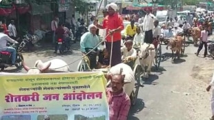 bullock cart protest farmers buldhana