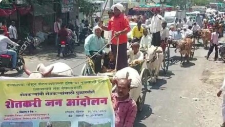 bullock cart protest farmers buldhana