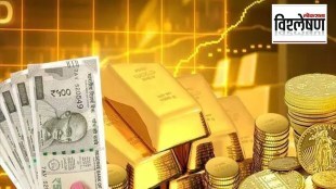 gold explainer
