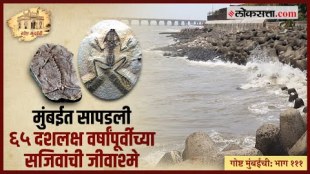 Gosht Mumbai Chi Episode 111 sixty five million years of old Animal Fossils found in Mumbai