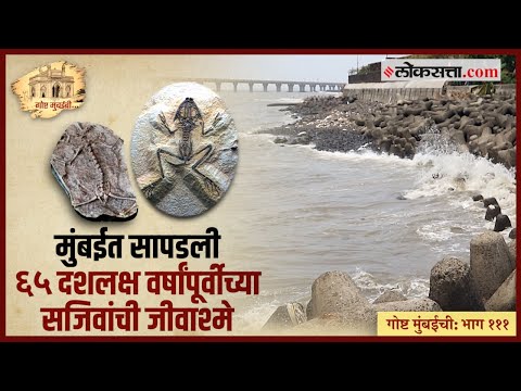 Gosht Mumbai Chi Episode 111 sixty five million years of old Animal Fossils found in Mumbai