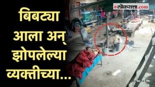 CCTV: झोपलेल्या कुत्र्याची बिबट्याने केली शिकार!; थरारक घटना कॅमेऱ्यात कैद | Leopard Attack Video