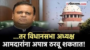 Loksatta Podcast: आमदारांच्या अपात्रतेबाबत विधानसभा अध्यक्षांचे अधिकार काय?; जाणून घ्या| Maharashtra