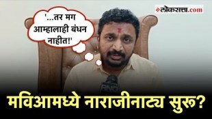 Amol Mitkari on Thackeray: 'राष्ट्रवादी संकटकाळात तुमच्यासोबत...'; मिटकरींचा उद्धव ठाकरेंना इशारा
