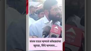CM Eknath Shindes response to MP Sanjay Rauts criticism