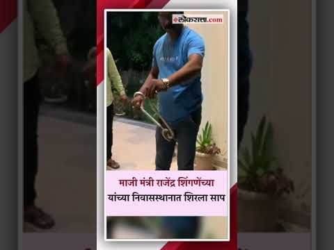 A snake entered the residence of former minister Rajendra Shingene