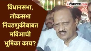 Ajit Pawar: आगामी निवडणुकीत स्वबळावर की एकत्र?; अजित पवारांनी केलं स्पष्ट