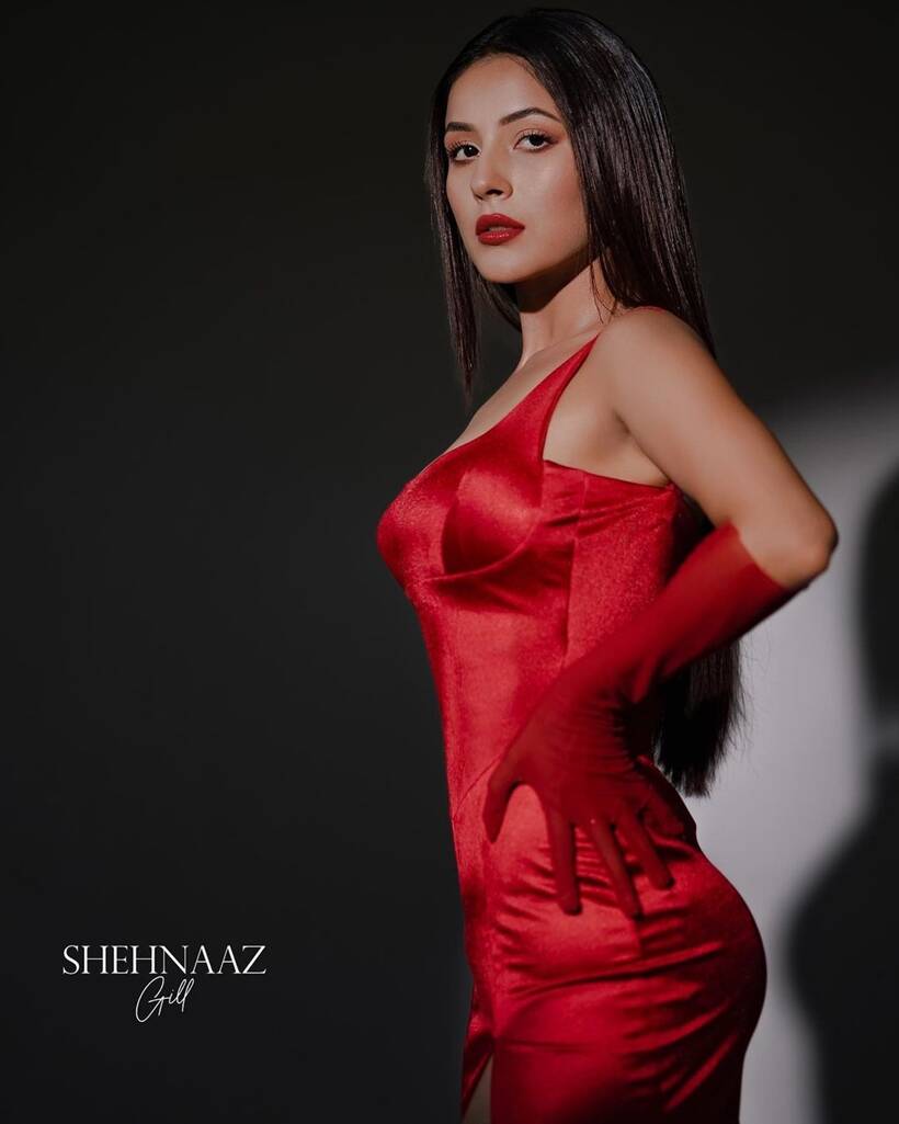 shehnaaz