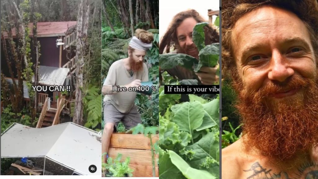 This US man quit his job as a cashier to live in a treehouse in Hawaii