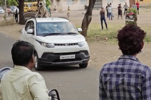 People harassed by monkey