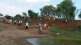 71 thousand 643 labour working on mgnrega work in chandrapur district