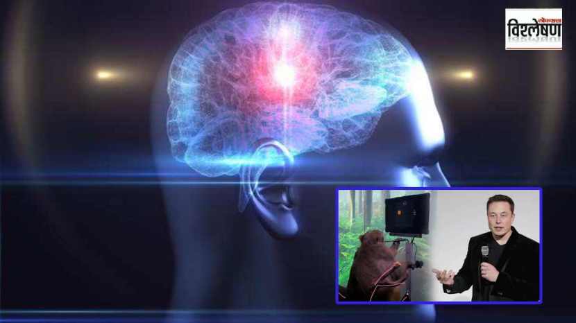 neuralink chip in human brain