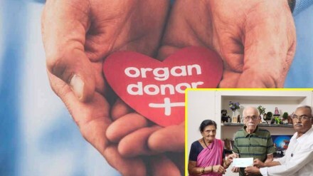 organ donor