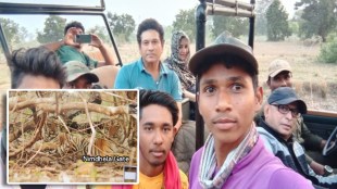 Sachin tendulkar returned Bhanuskhindi tigress tadoba