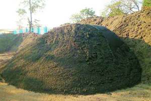maharashtra government approved cheap sand shop started