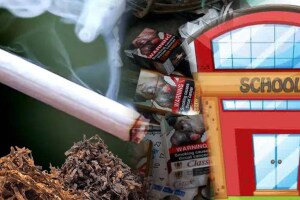 30 percent schools maharashtra tobacco free mumbai