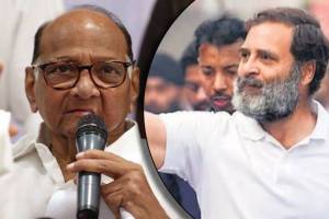 Karnataka result is a good example of Rahul Gandhis walk Sharad Pawar praises Bharat Jodo said sgk 96