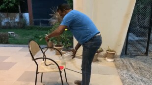 snake residence Rajendra Shingne