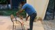 snake residence Rajendra Shingne