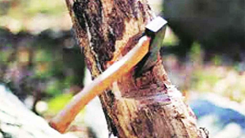 tree cutting, noc from forest department officials