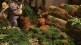 abundant production vegetables thane district